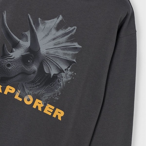 Μπλουζα μακρυμανικη explorer